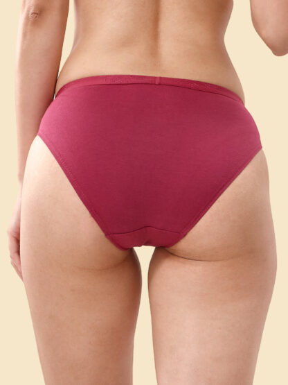 Lyra Solid Outer Elastic Bikini Assorted Color Panty - Image 5